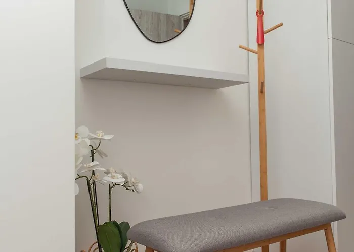 Momento * キュステンディル