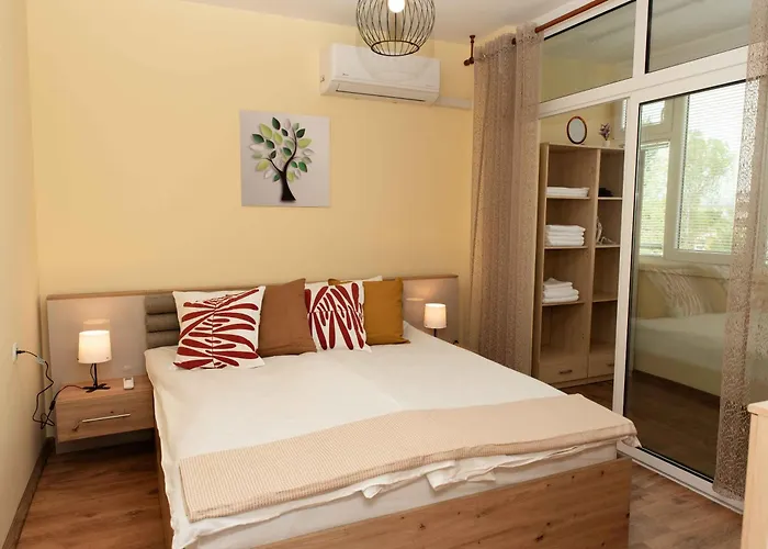 Momento キュステンディル